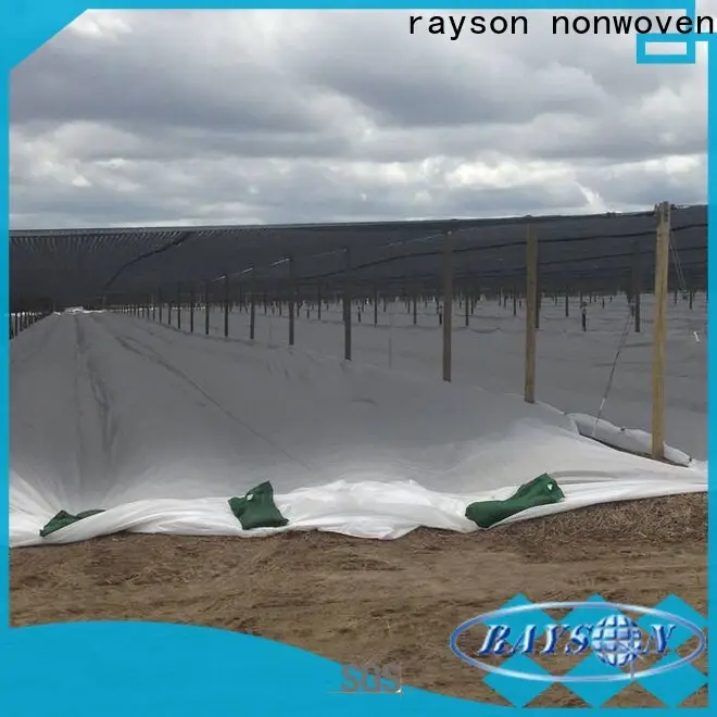 rayon nonwoven Toplu sebze bahçesi fiyatında ODM manzara kumaşı satın alın 1