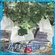 rayon nonwoven tarımsal örtü fabrikası1 1