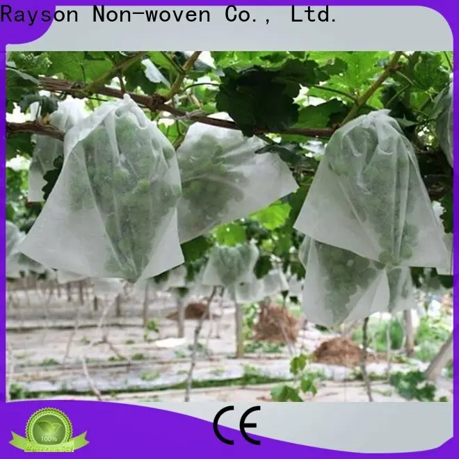 rayson nonwoven freeze cloth for plants factory 1