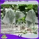 rayson nonwoven freeze cloth for plants factory 1