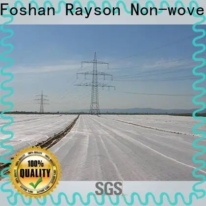 rayson nonwoven ODM landscape fabric under stone price 1