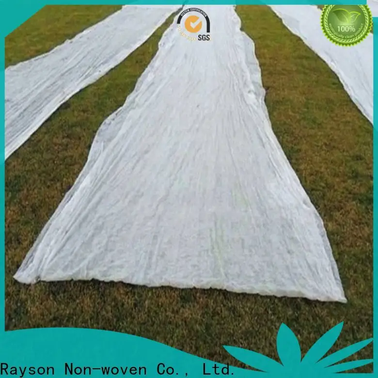 Rayson Bulk buy high quality 12 foot wide landscape fabric company 1