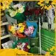 rayson nonwoven Wholesale best nonwoven flower bouquet wrapping paper price flower stores 1