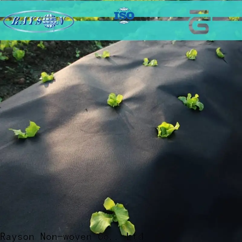 rayson nonwoven anti weed membrane manufacturer 1