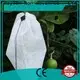 Rayson nonwoven Rayson en iyi nonwoven zemin ot kontrol kumaşı fiyatı 1