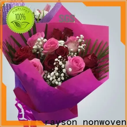 rayson nonwoven ODM high quality nonwoven eco friendly non woven fabric manufacturer 1