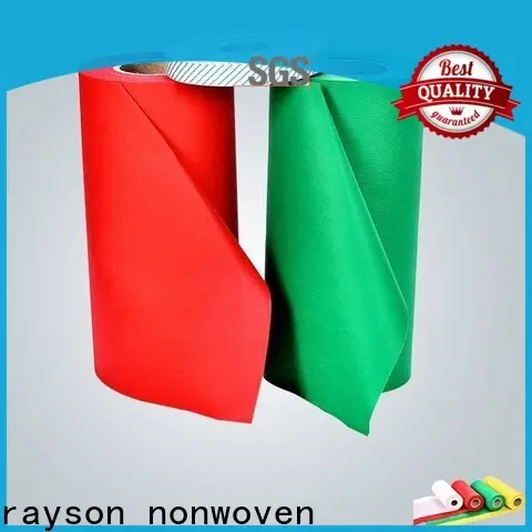 Rayson non tessuto Azienda di tessuto non tessuto in pp spunbond di alta qualità Rayson 1