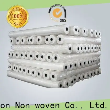 rayson nonwoven polypropylene spunbond nonwoven manufacturer 1