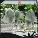 rayson nonwoven OEM nonwoven biodegradable row cover company 1