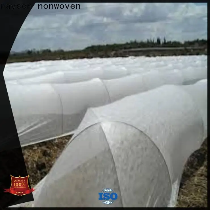 Rayson Wholesale OEM nptel nonwoven factory 1