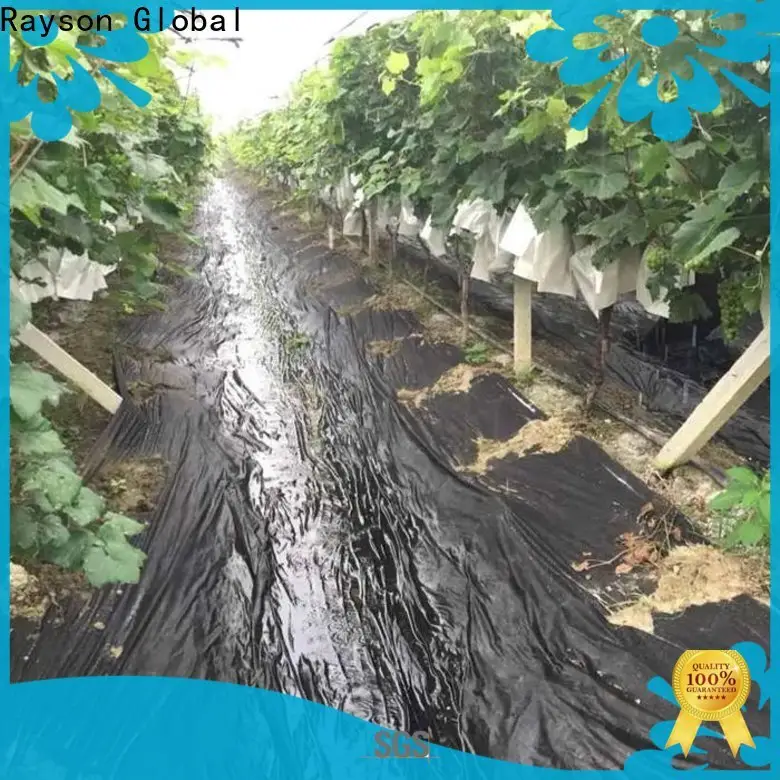 Rayson nonwoven Rayson Toplu satın alma yeşil peyzaj kumaş fiyatı 1