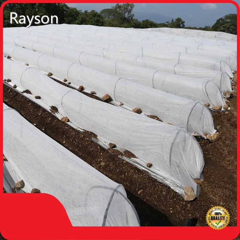 Unkrautvliesrolle, Frostschutzvlies im Großhandel - Rayson Nonwoven 1