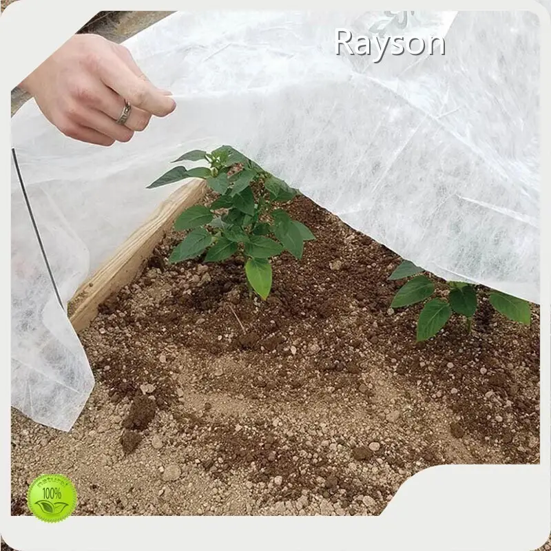 Grünes Unkrautvlies, Frostschutzvlies im Großhandel - Rayson Nonwoven 1