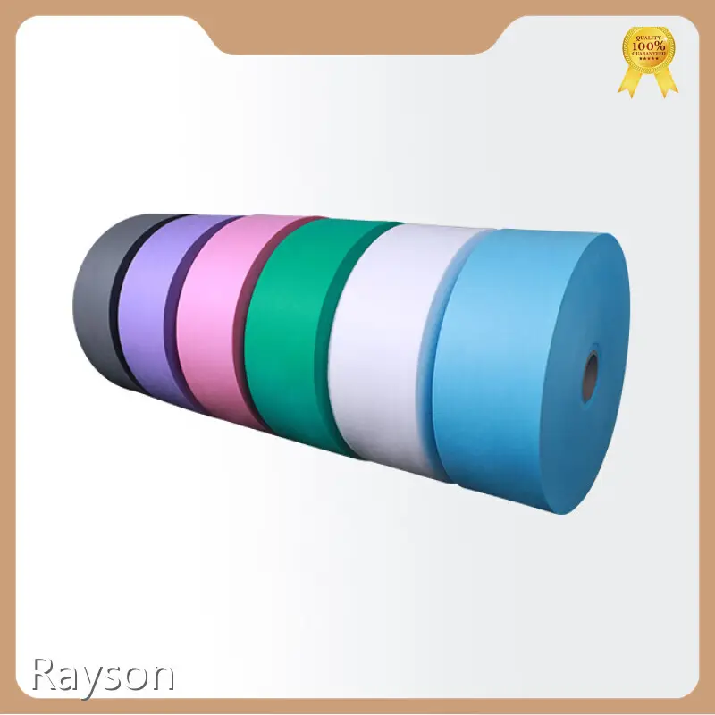 Non Woven Fabric Price SS Nonwoven Fabric Wholesale - Rayson Nonwoven 1