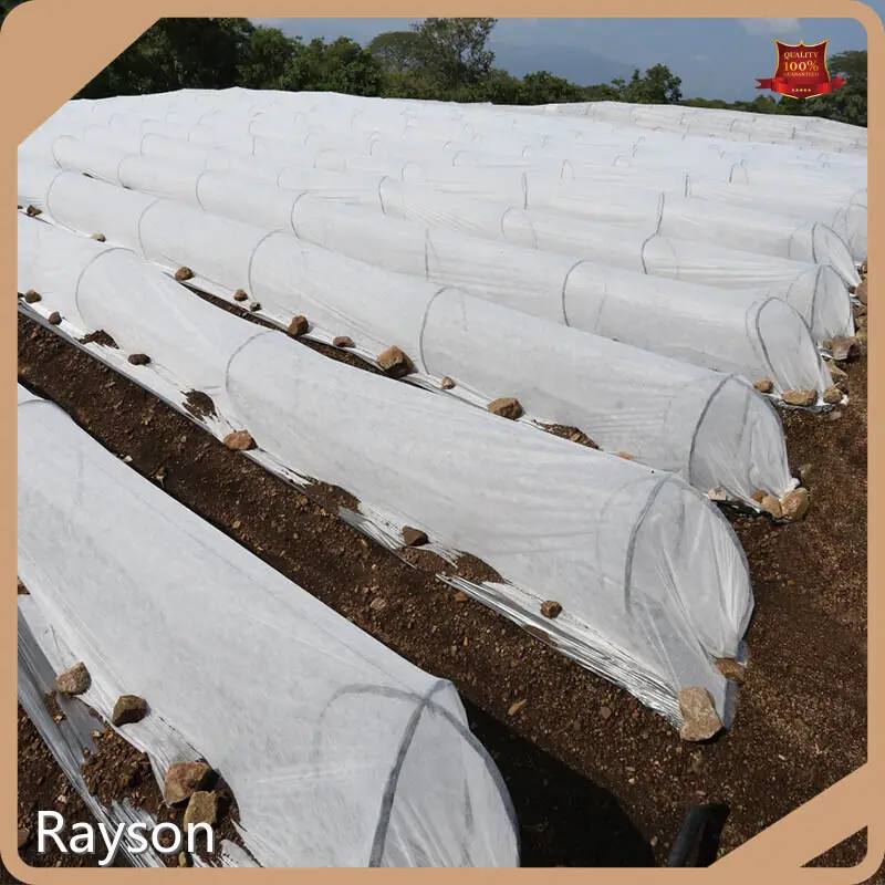 बुने हुए खरपतवार नियंत्रण कपड़े, पाले से सुरक्षा देने वाले कपड़े का थोक व्यापार - रेसन नॉनवॉवन 1