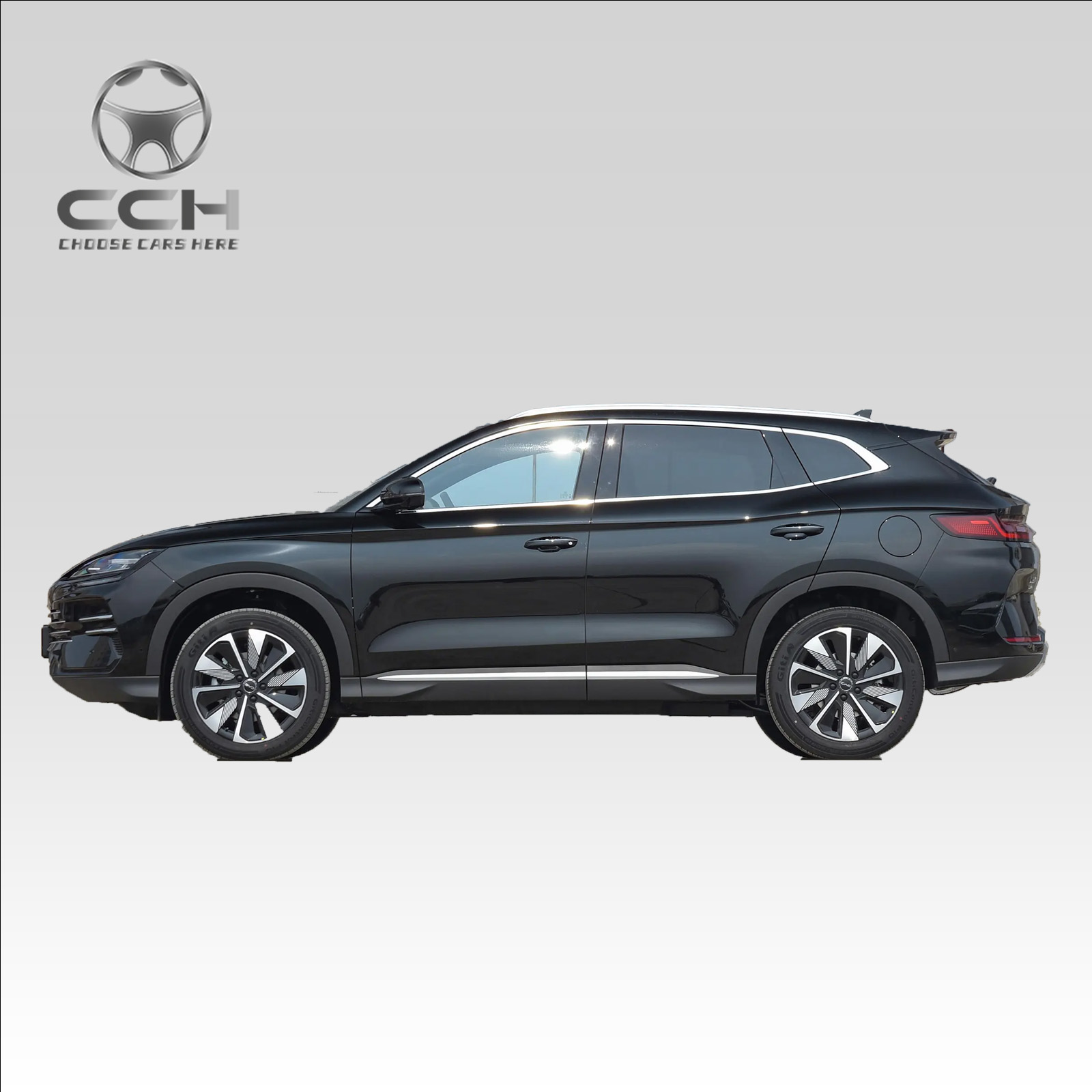 BYD Song Plus Dm-i 2025 مع السيارة الهجينة الفاخرة الفاخرة من Champion بسعر رخيص 4