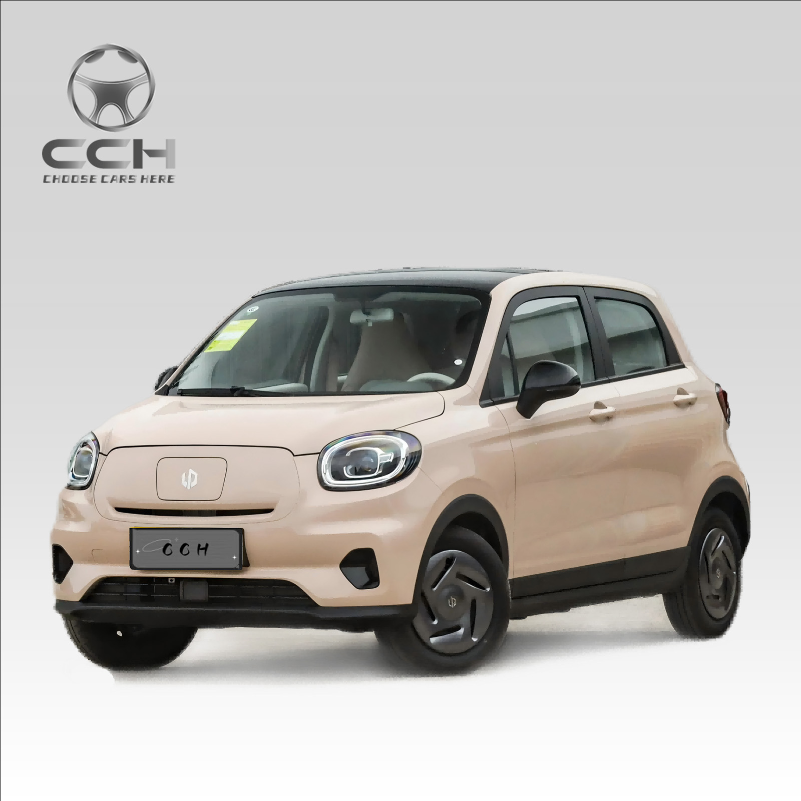 Leapmotor T03 2024 403 Edition con CLTC 403KM 5 puertas 4 asientos Coche eléctrico puro 80Kw 109Ps Vehículos de nueva energía automóvil Mini Ev Car a precio económico 2