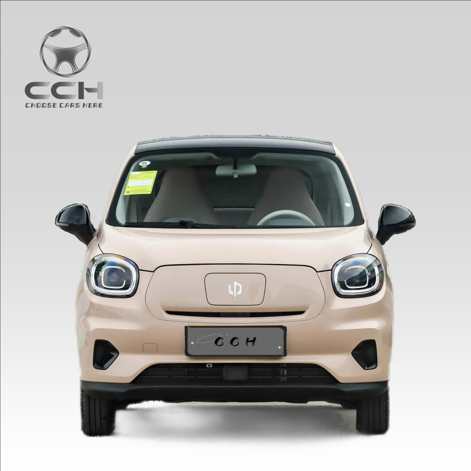 Leapmotor T03 2024 403 Edition con CLTC 403KM 5 puertas 4 asientos Coche eléctrico puro 80Kw 109Ps Vehículos de nueva energía automóvil Mini Ev Car a precio económico 3