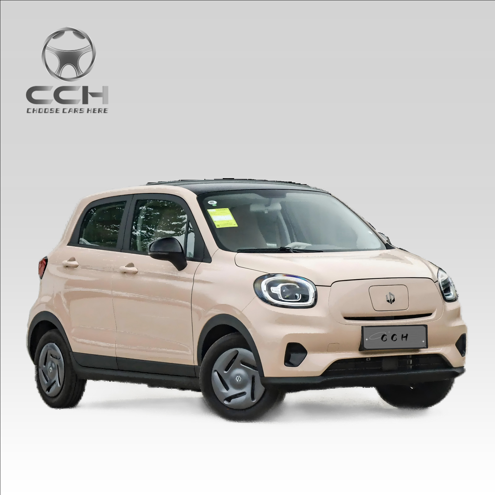Leapmotor T03 2024 403 Edition con CLTC 403KM 5 puertas 4 asientos Coche eléctrico puro 80Kw 109Ps Vehículos de nueva energía automóvil Mini Ev Car a precio económico 4