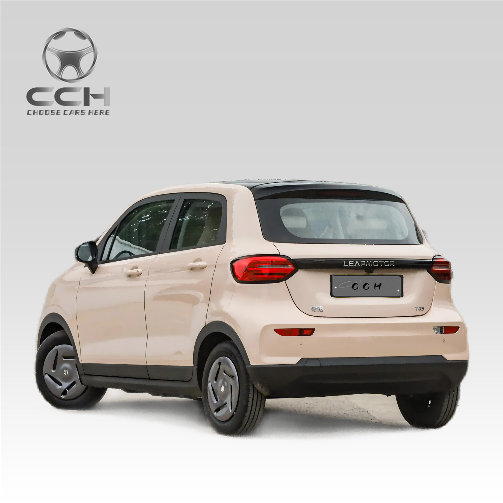 Leapmotor T03 2024 403 Edition con CLTC 403KM 5 puertas 4 asientos Coche eléctrico puro 80Kw 109Ps Vehículos de nueva energía automóvil Mini Ev Car a precio económico 6