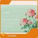 High Quality Body Care Company - Cube - Shaped Products - - Lily Bath 1