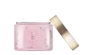 Body Scrub Supplier No Later Than 60 Days - - Lily Bath 4