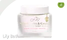 Body Scrub Wholesale 17.6 Oz / 500 G - - Lily Bath 1