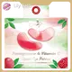 Face Care Supplier Pink by Lily Bath 1