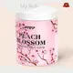 Wholesale Body Scrub FOB by Lily Bath 1
