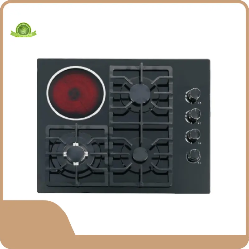 Four Burner Gas Stove by 1