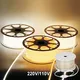 Cost-effective Led Strip Light Manufacturer for Home 3