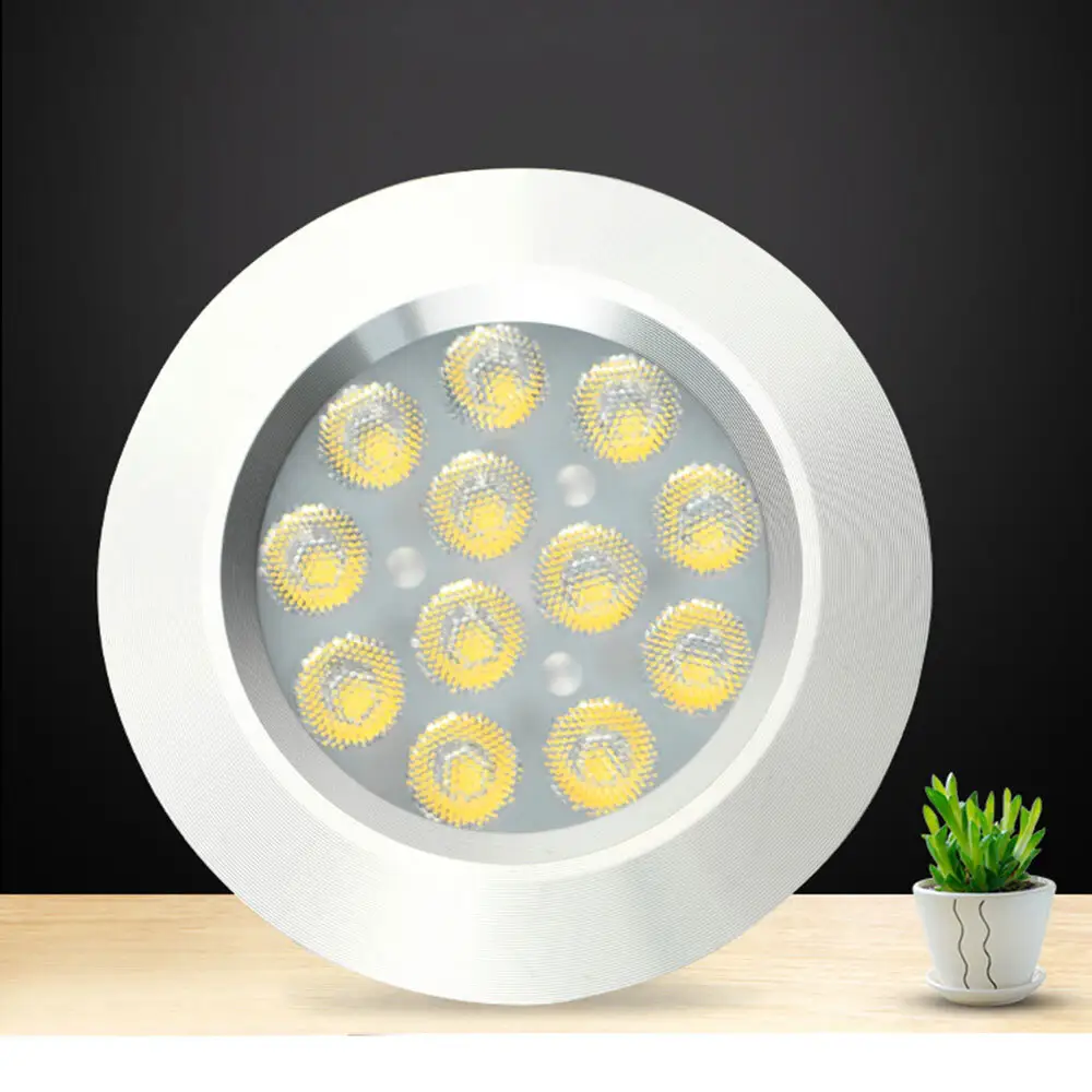 Good Selling Led Lighting Company Price List 4
