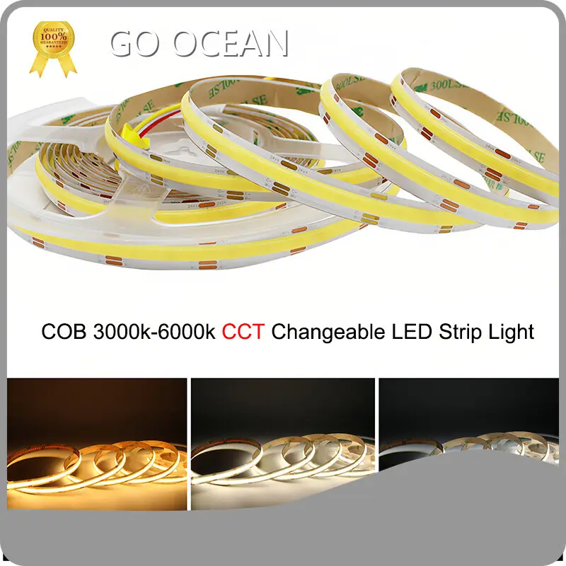 Best Cob Led Strip Best Supplier for Wholesale5m/roll 1