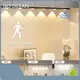 GO OCEAN Best Led Light Manufacturer Human PIR Sensorsupplier 1