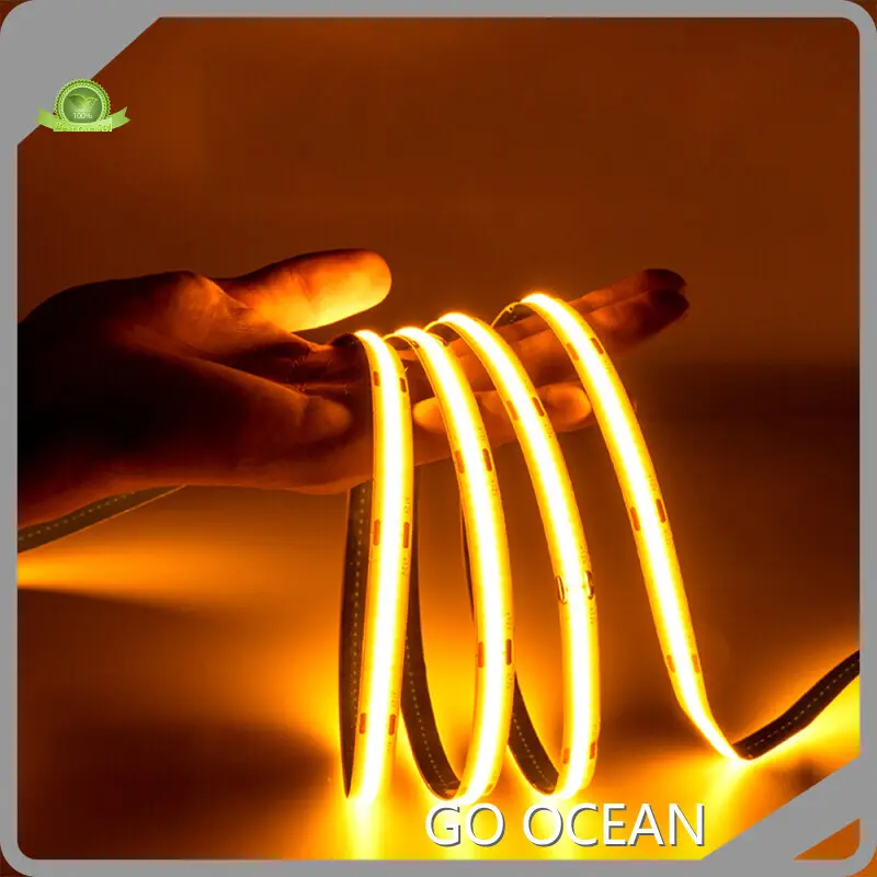 For Home Led Strip Light LED Tape Light by GO OCEAN 1