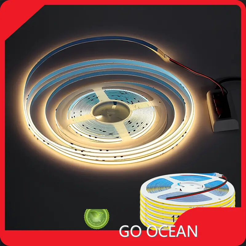 Hot Sale Cob Led Strip 12v Cob Led Strip 12v Company 1