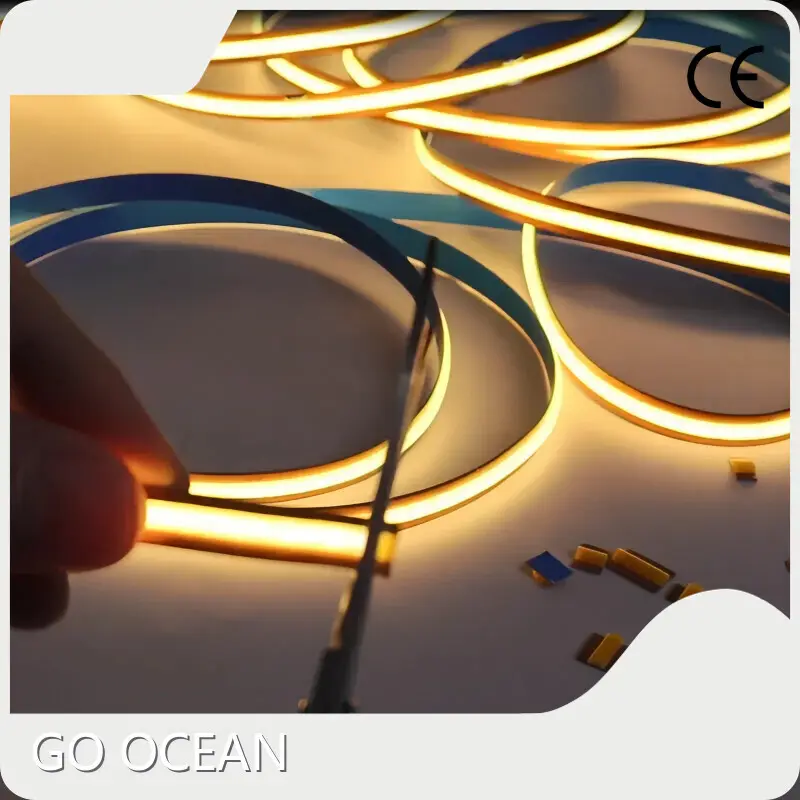 Customized Strip Light Supplier Company 1