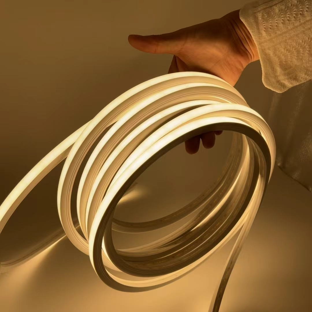 Premium Silicone 12v 24v LED Neon Strip Light Manufacturer 1