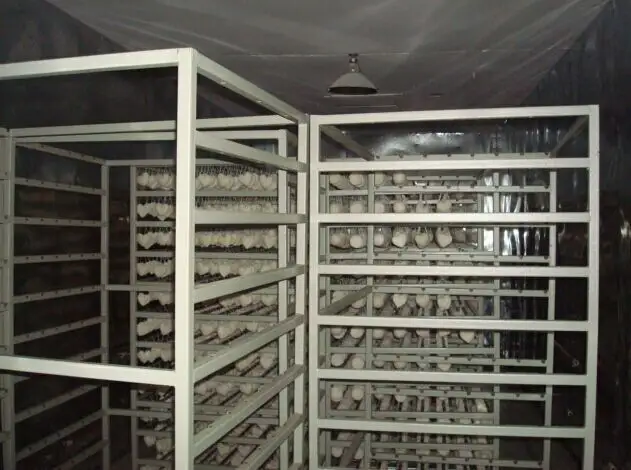 produttore di spugne per fondotinta liquido per la pulizia del viso per polvere essiccata minerale 8