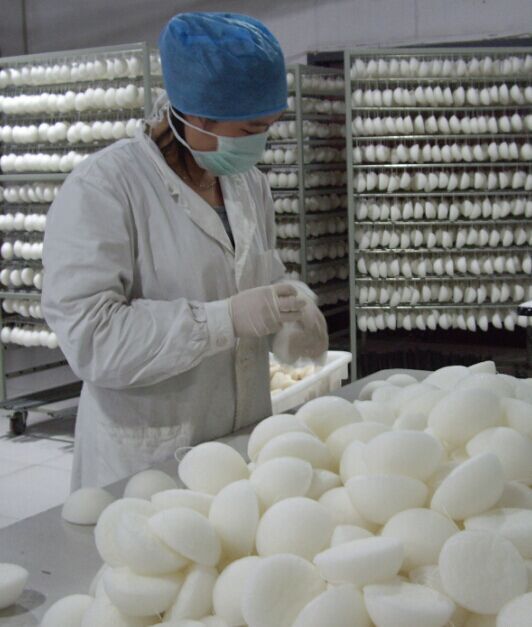 Suprabeauty sp good makeup sponges manufacturer for cream foundation 6