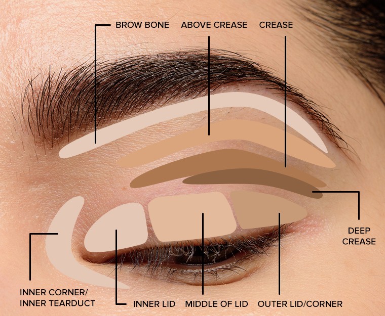 eyeshadow applicator spd for eyeshadow powder Suprabeauty 5