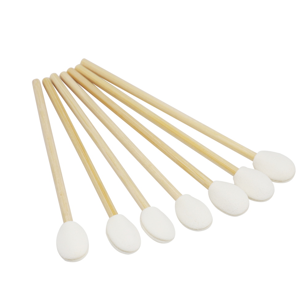 Biodegradable bag packaging eco-friendly disposable applicator bamboo lip brush 3