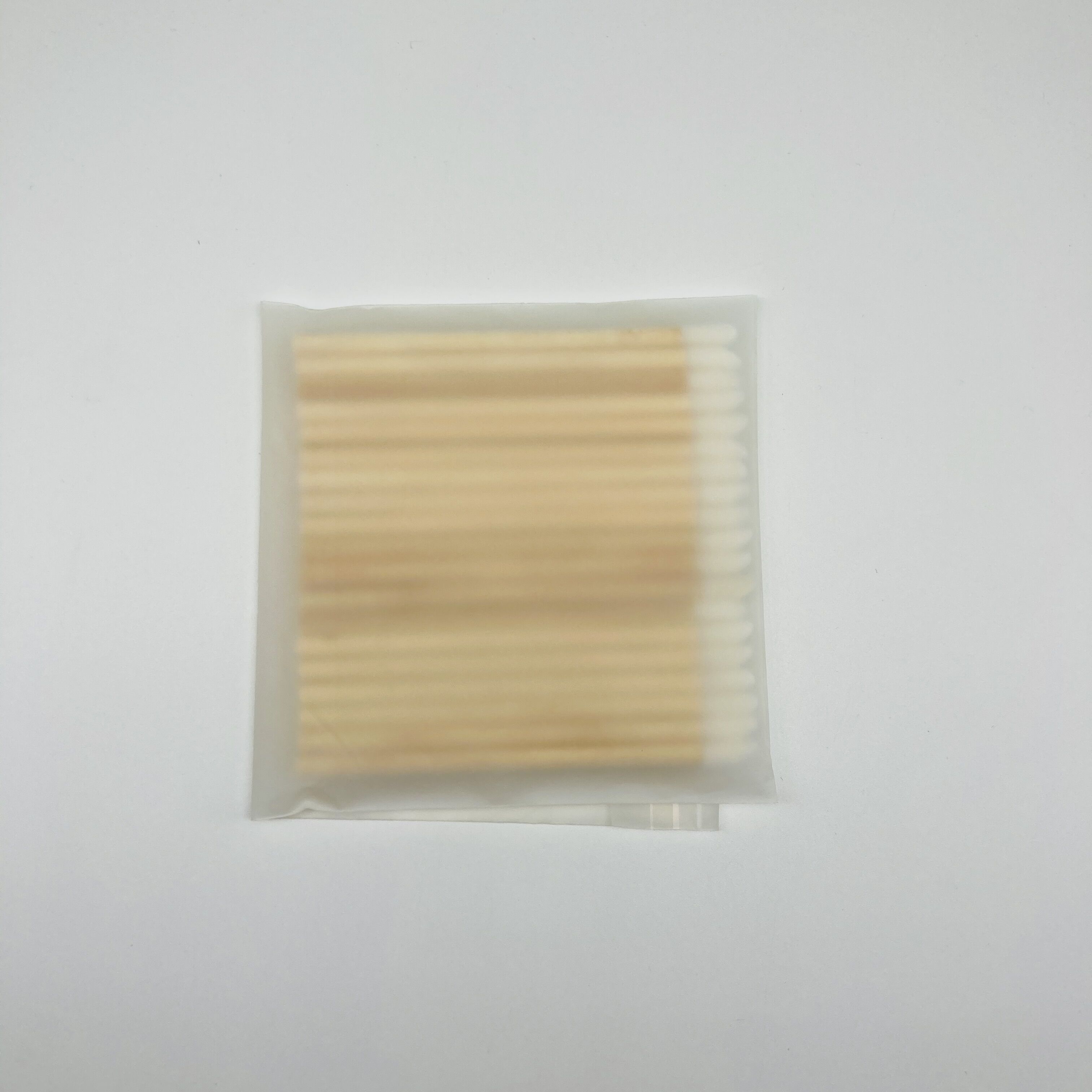 Biodegradable bag packaging eco-friendly disposable applicator bamboo lip brush 5