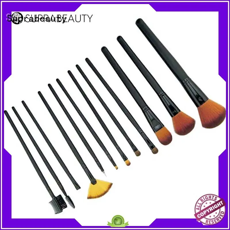 makeup brush kit for students 12pcs 1