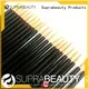 promotional makeup applicator best manufacturer for women 1