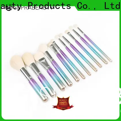 Suprabeauty promotional makeup brush kit online inquire now for promotion 1