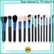Suprabeauty top 10 makeup brush sets factory direct supply for beauty 1