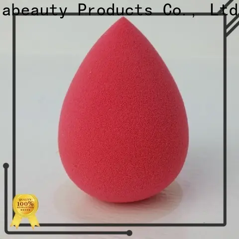 best price latex free sponge series for promotion 1