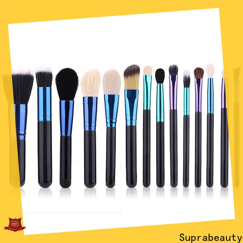 Suprabeauty eyeshadow brush set directly sale bulk production 1