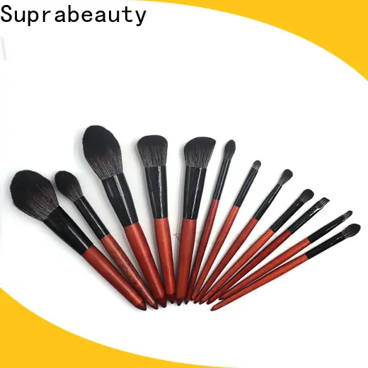 popular beauty brushes set with good price for sale 1